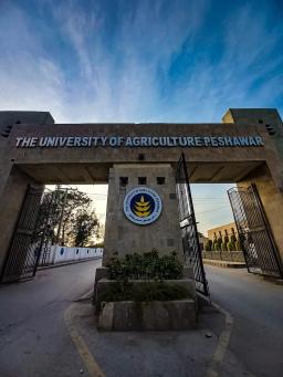 campus-image