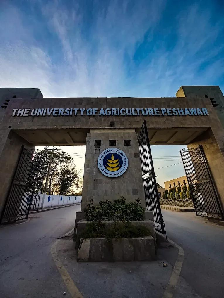 campus banner